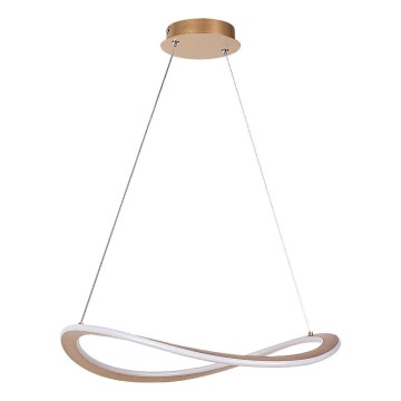 Rabalux - LED-Hängeleuchte mit Seilaufhängung LED/40W/230V 3000K