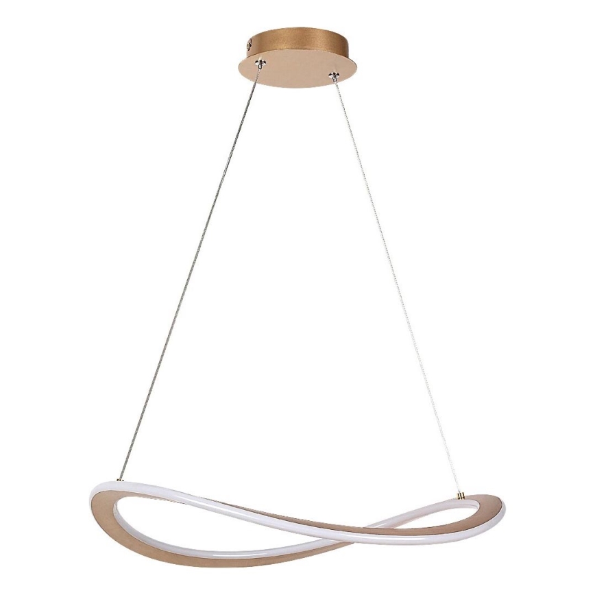 Rabalux - LED-Hängeleuchte mit Seilaufhängung LED/40W/230V 3000K