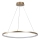 Rabalux - LED-Pendelleuchte am Kabel LED/55W/230V 3000K