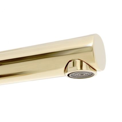 REA-B8803 - Waschtischarmatur TESS 31,5 cm, goldfarben