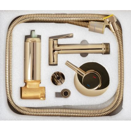 REA-B8979 - Bidet-Armatur mit Brause zur Unterputzmontage LUNGO Gold