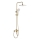 REA-P7841 - Duschset mit Armatur ARGUS in gebürstetem Gold