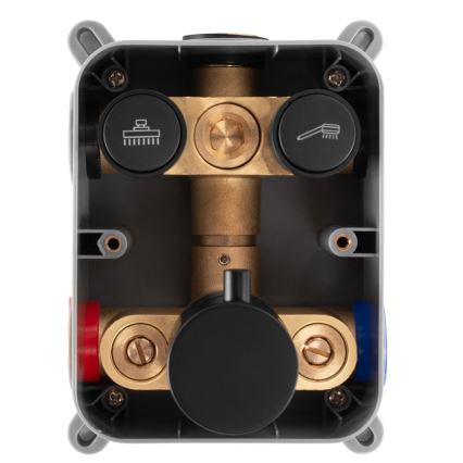 REA-P8551 - Duschgarnitur mit thermostatischer Unterputzarmatur LUNGO, gebürstetes Gold