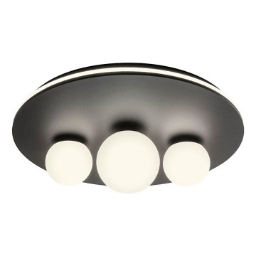 Redo 01-2466 - LED-Deckenleuchte CORUM LED/48W/230V 3000K CRI 90 schwarz