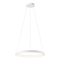 Redo 01-2672 - Dimmbare LED-Pendelleuchte ICONIC an Stahlseil LED/50W/230V Ø 58 cm weiß
