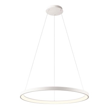 Redo 01-2675 - ICONIC dimmbare LED-Pendelleuchte an Kabel, LED/60W/230V, Durchmesser 78 cm, weiß