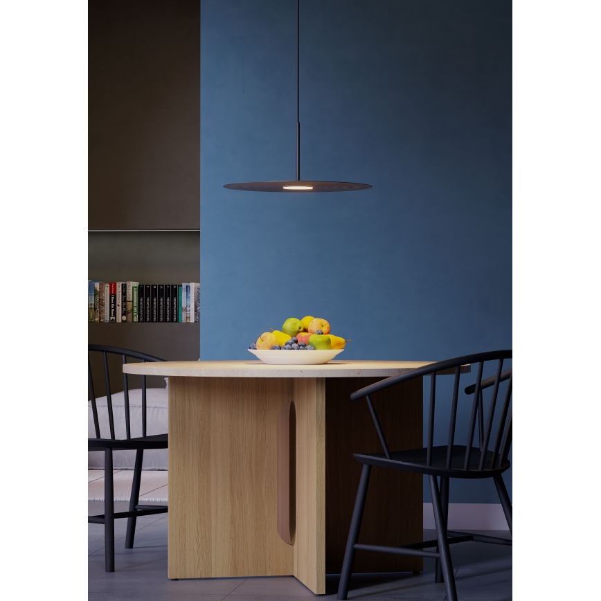 Redo 01-3047 - LED-Hängeleuchte an Stahlseil LAKE LED/13W/230V CRI 90, Durchmesser 50 cm, schwarz