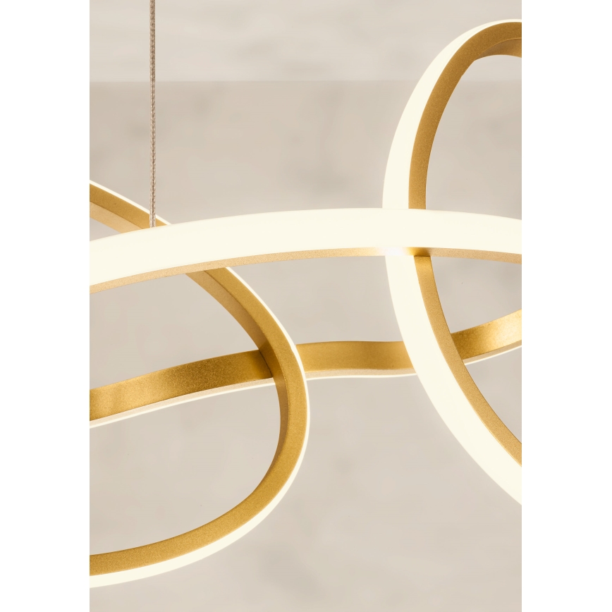 Redo 01-3392 - Dimmbare LED-Pendelleuchte BIAS mit Kabelaufhängung LED/120W/230V 3000/4500/6500K CRI 90 goldfarben