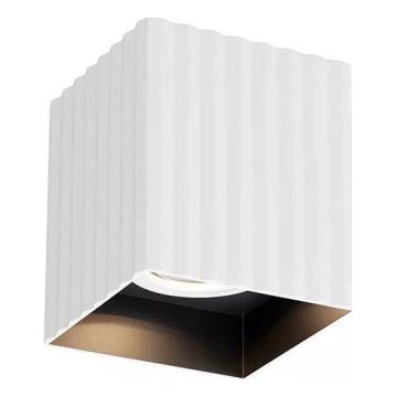 Redo 01-3407 - Deckenspot DELPHI 1xGU10/7W/230V 8,1x8,1 cm weiß