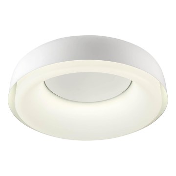 Redo 01-3940 - LED-Deckenleuchte DIP-LED/30W/230V 2700/3000/4000/5000/6500K CRI 90 Ø 48,6 cm weiß