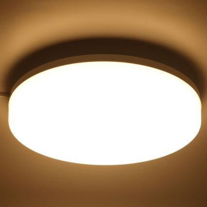 LED RGBW dimmbare Badezimmer-Deckenleuchte LED/20W/230V Wi-Fi IP44 weiß