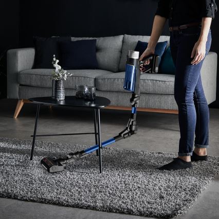 Rowenta - Stielstaubsauger X-FORCE FLEX 250W/18V