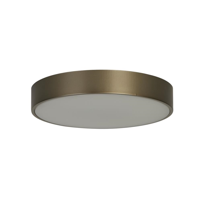 Searchlight - LED-Deckenleuchte PALMA LED/12W/230V 3000K Ø 25 cm bronzefarben