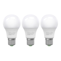 SET 3x LED-Lampe ECOLINE A60 E27/10W/230V 6500K - Brilagi