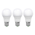 SET 3x LED-Lampe ECOLINE A60 E27/15W/230V 6500K - Brilagi