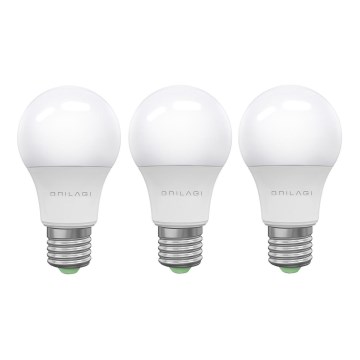 SET 3x LED-Lampe ECOLINE A60 E27/15W/230V 6500K - Brilagi