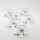 Set 6x Glastasse mit Untertasse klar Blumenstrauß Nr. 3