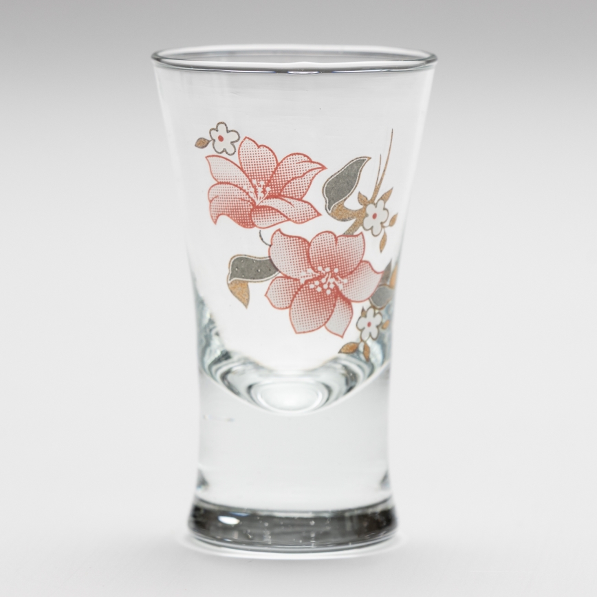 Set 6x Likörglas mit Blumenstrauß-Motiv Nr. 2