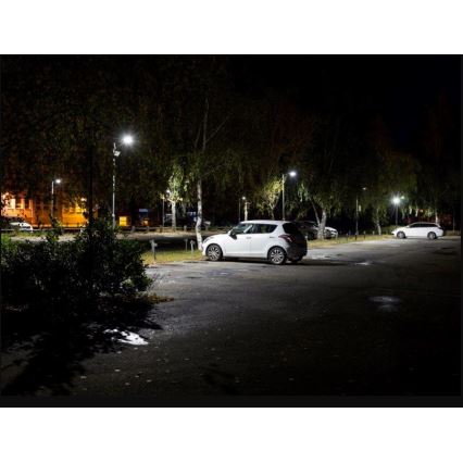 Sinclair - LED Straßenlampe LED/40W/230V 4000K IP65