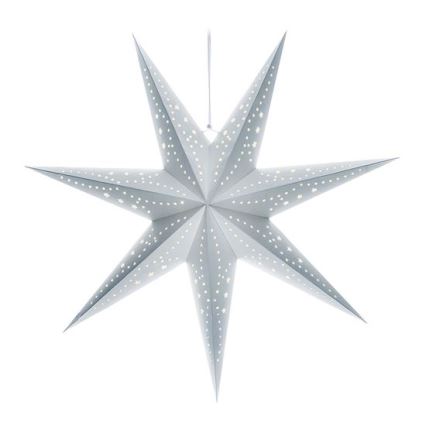 LED-Weihnachtsdekoration 20xLED/2xAA warmweiß silberner Stern