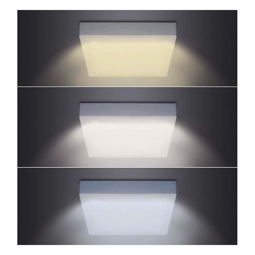 LED Deckenleuchte LED/12W/230V 3000/4000/6000K 17x17 cm weiß