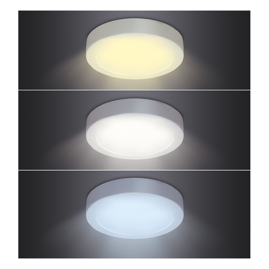 LED-Deckenleuchte LED/18W/230V 3000/4000/6000K Ø 22,5 cm weiß