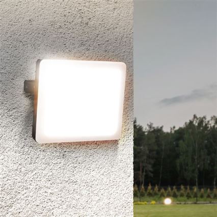 LED Außenstrahler LED/30W/230V 4000K IP65