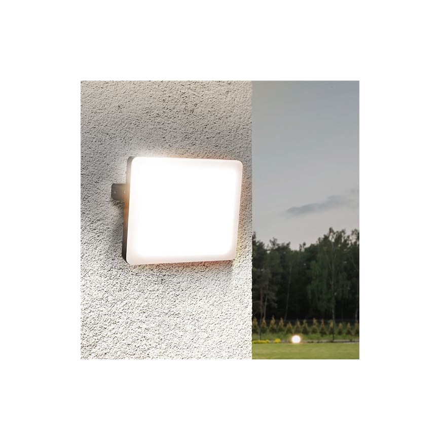 LED Außenstrahler LED/30W/230V 4000K IP65