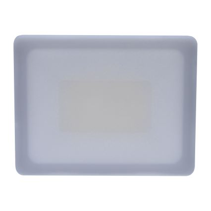 LED Außenstrahler LED/30W/230V 4000K IP65