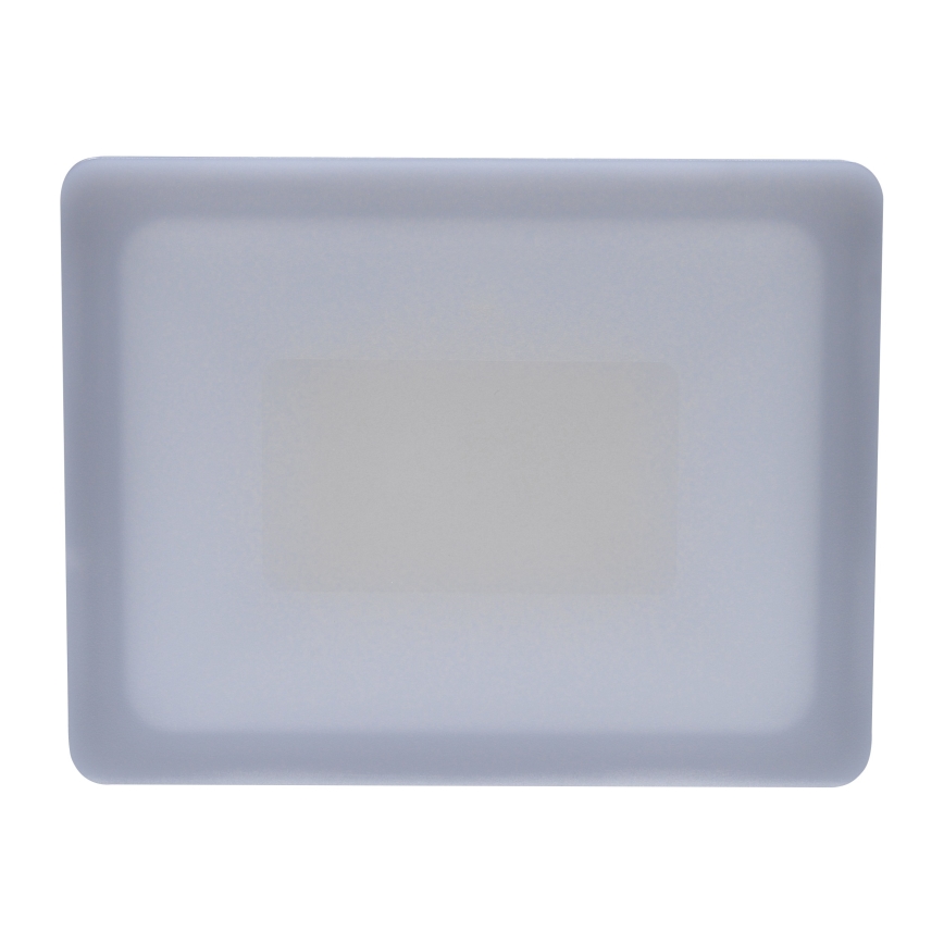 LED Außenstrahler LED/30W/230V 4000K IP65