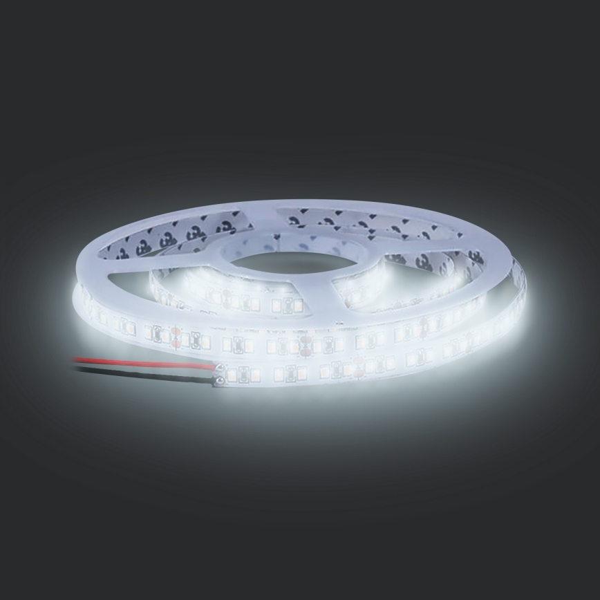 LED Streifen LED/50W/12V 5m kaltweiß