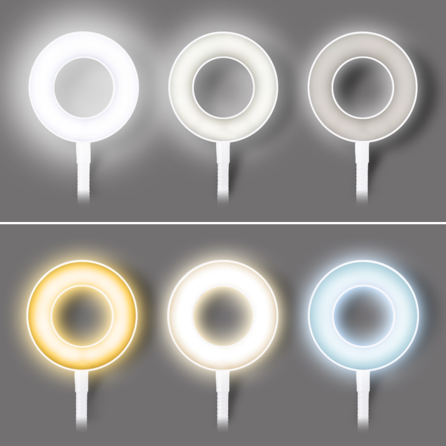 Dimmbare LED-Tischlampe mit Clip LED/8W/230V 3000/4000/5000K weiß