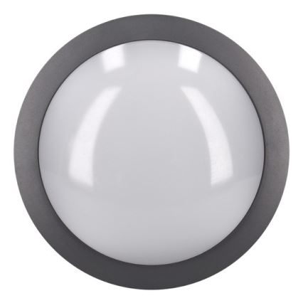 LED Außen-Deckenleuchte LED/13W/230V IP54 Anthrazit