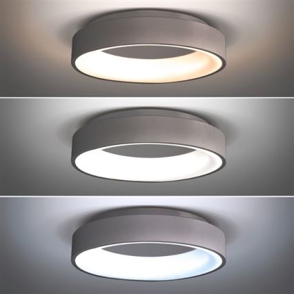 LED Dimmbares Deckenleuchte TREVISO LED/48W/230V + Fernbedienung