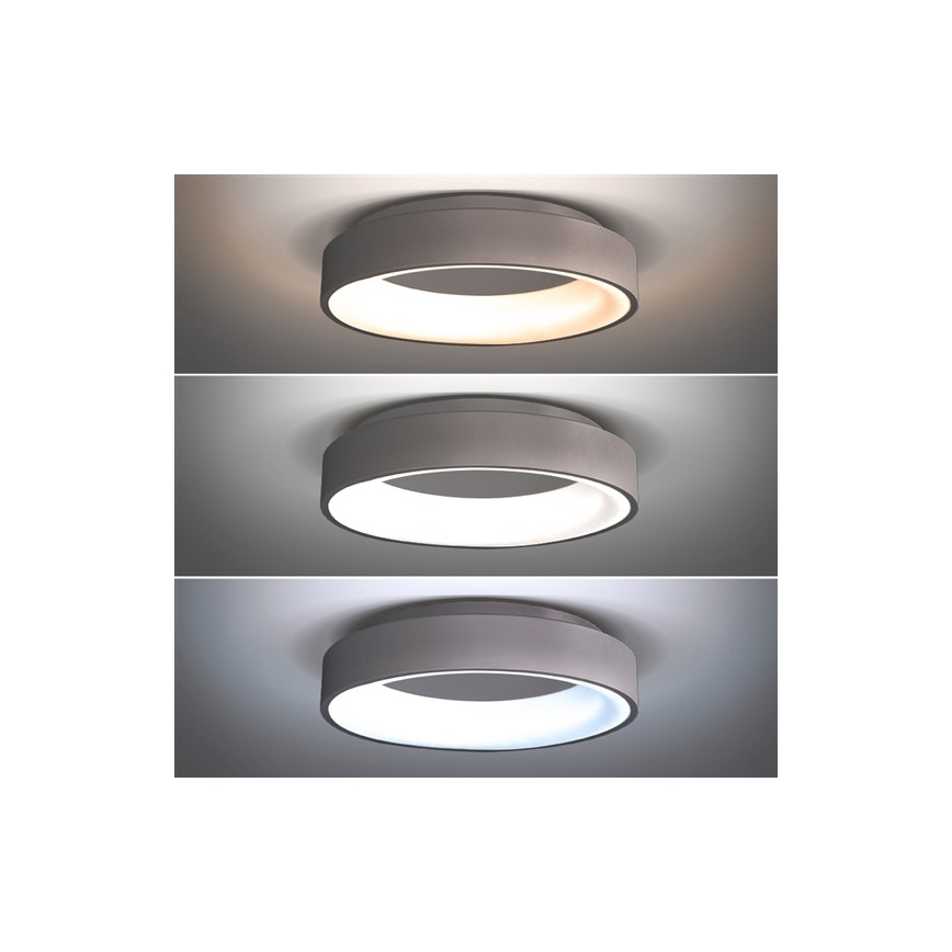 LED Dimmbares Deckenleuchte TREVISO LED/48W/230V + Fernbedienung