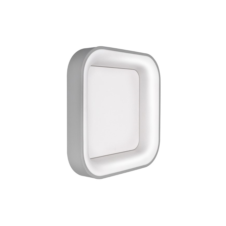 LED Dimmbares Deckenleuchte TREVISO LED/48W/230V + Fernbedienung