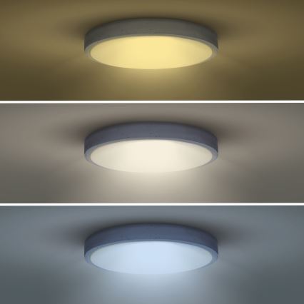 LED Dimmbares Deckenleuchte GREY LED/60W/230V 3000-6500K grau Ø 49 cm + Fernbedienung
