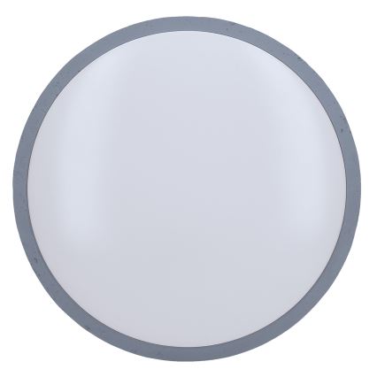 LED Dimmbares Deckenleuchte GREY LED/60W/230V 3000-6500K grau Ø 49 cm + Fernbedienung