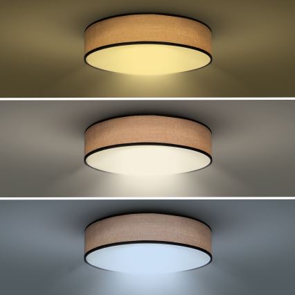LED Dimmbares Deckenleuchte BROWNIE LED/60W/230V 3000-6500K Braun Ø 50 cm + Fernbedienung