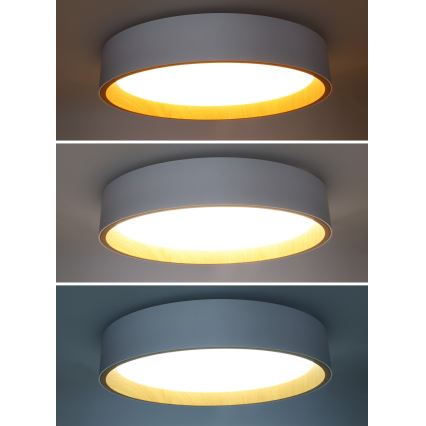 LED Dimmbares Deckenleuchte LARIOS LED/48W/230V 3000-6500K Ø39 cm Weiß + Fernbedienung