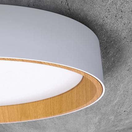 LED Dimmbares Deckenleuchte LARIOS LED/48W/230V 3000-6500K Ø39 cm Weiß + Fernbedienung