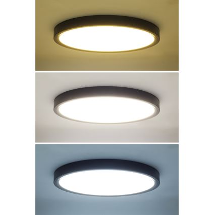 LED Dimmbares Deckenleuchte ESTELA LED/36W/230V Ø30 cm Schwarz + Fernbedienung