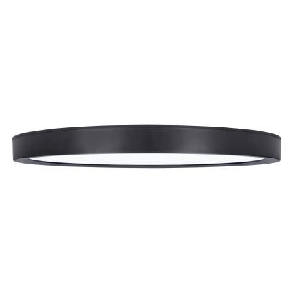 LED Dimmbares Deckenleuchte ESTELA LED/36W/230V Ø30 cm Schwarz + Fernbedienung