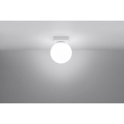 Deckenleuchte YOLI 1xG9/12W/230V Weiß