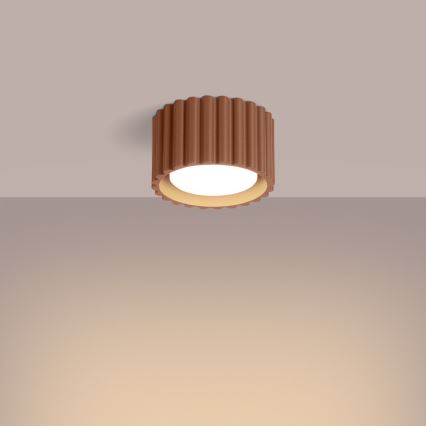 Spotleuchte AURA 1xGX53/10W/230V 6 cm braun