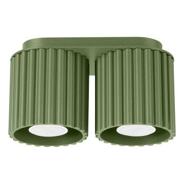 Spotleuchte AURA 2x GU10/10W/230V, grün