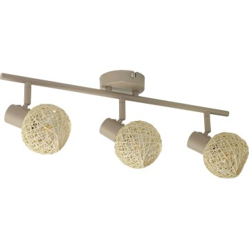 Spotleuchte DEX 3xE14/10W/230V beige/cremefarben