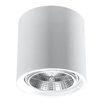Spotleuchte KALU 1xGU10/ES111/40W/230V