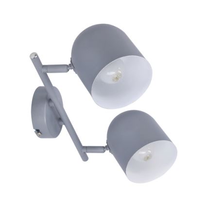 Spotlight AZURO 2xE27/40W/230V