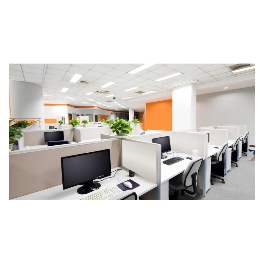 Steinel 079574 – Präsenzmelder DualTech COM1 weiß